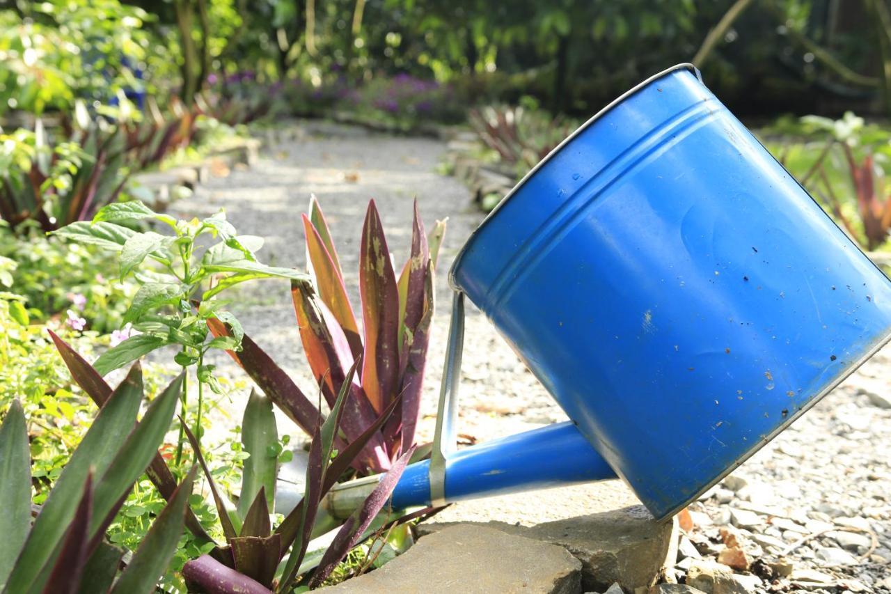 Homestay Vuon Trai Cay Nhiet Doi Vo Uu Garden Bảo Lộc Exterior foto